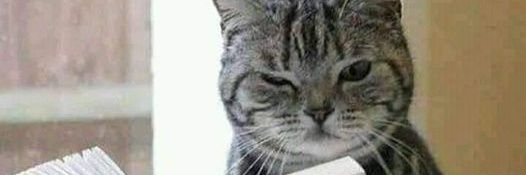kingtiger11's profile banner image