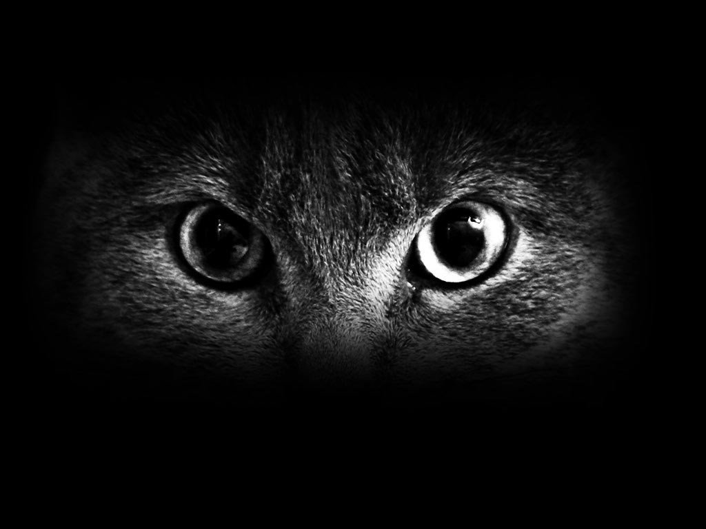Amrunranrun's profile banner image
