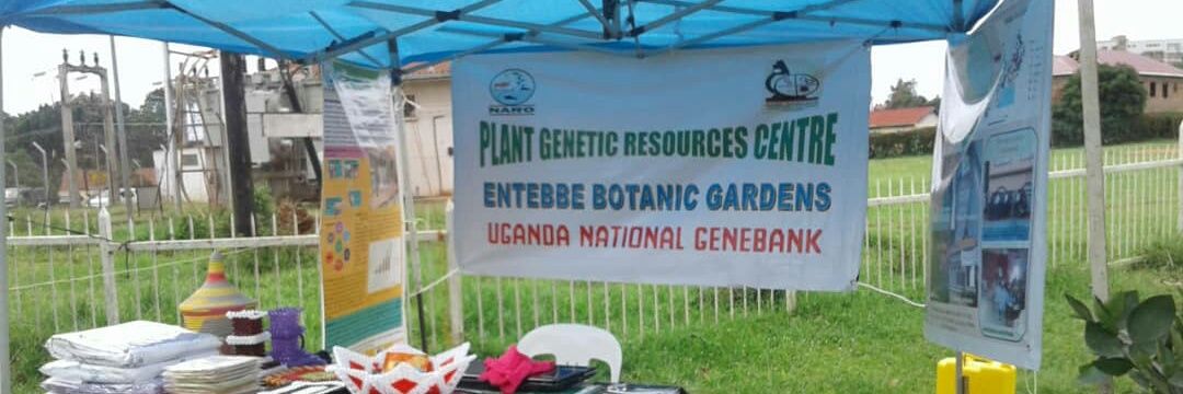 Entebbe Botanical Gardens banner