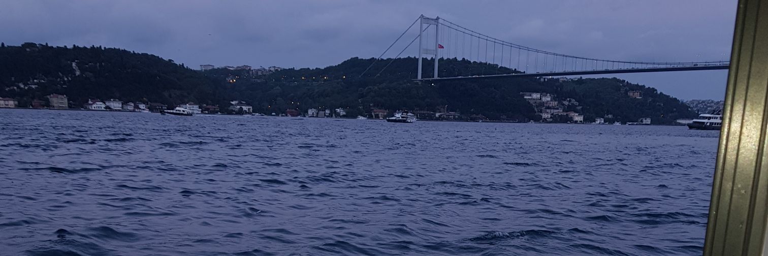 narisko81's profile banner image