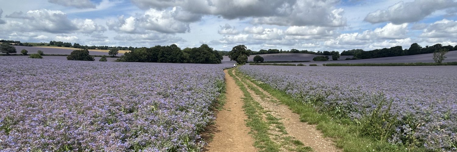 Lee Barnby 🇪🇺 banner