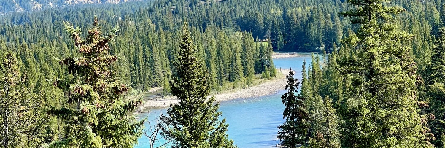 cgurmann's profile banner image