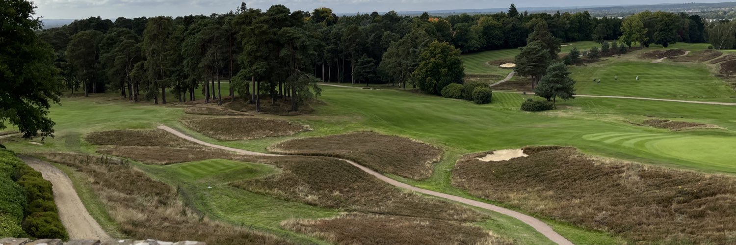 Tristan McIllroy banner