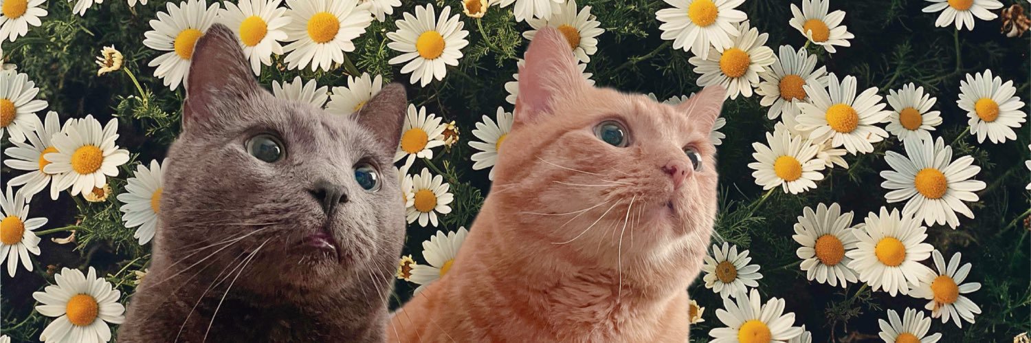 • Becci 🍃 banner