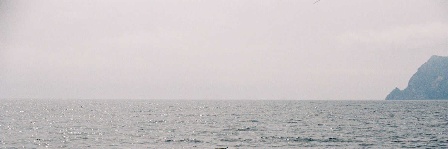 jmanez97's profile banner image