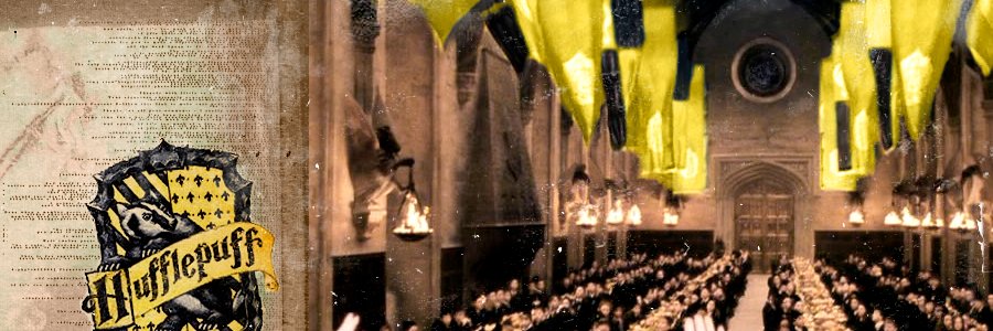 MeganJonestty's profile banner image