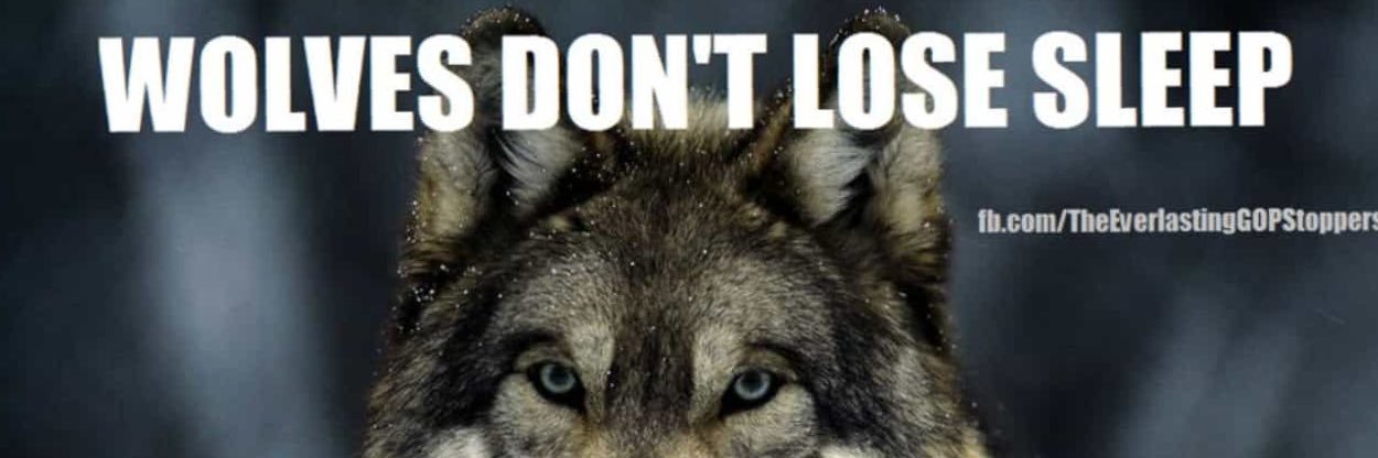 DirkSwagger's profile banner image