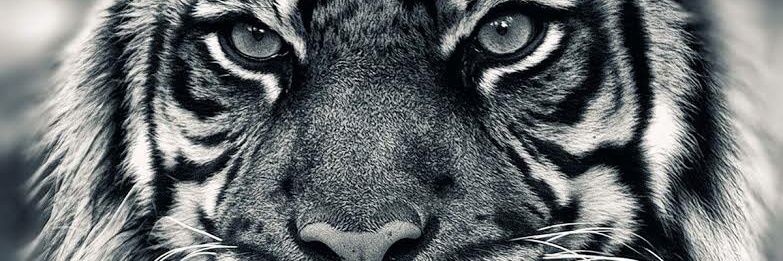 qw12r's profile banner image