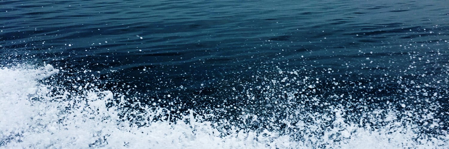 ElodieWinling's profile banner image