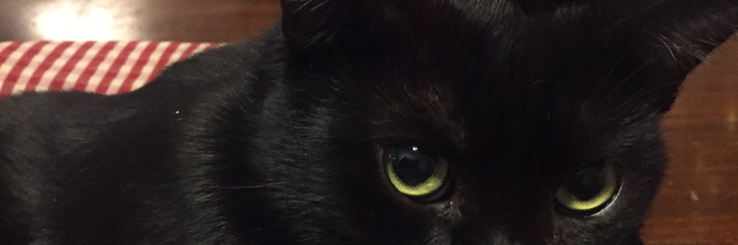 CMopoli's profile banner image