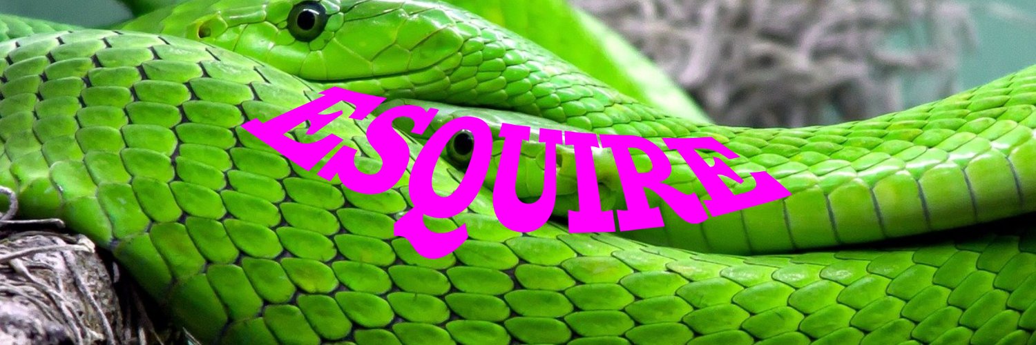 esquire_games's profile banner image