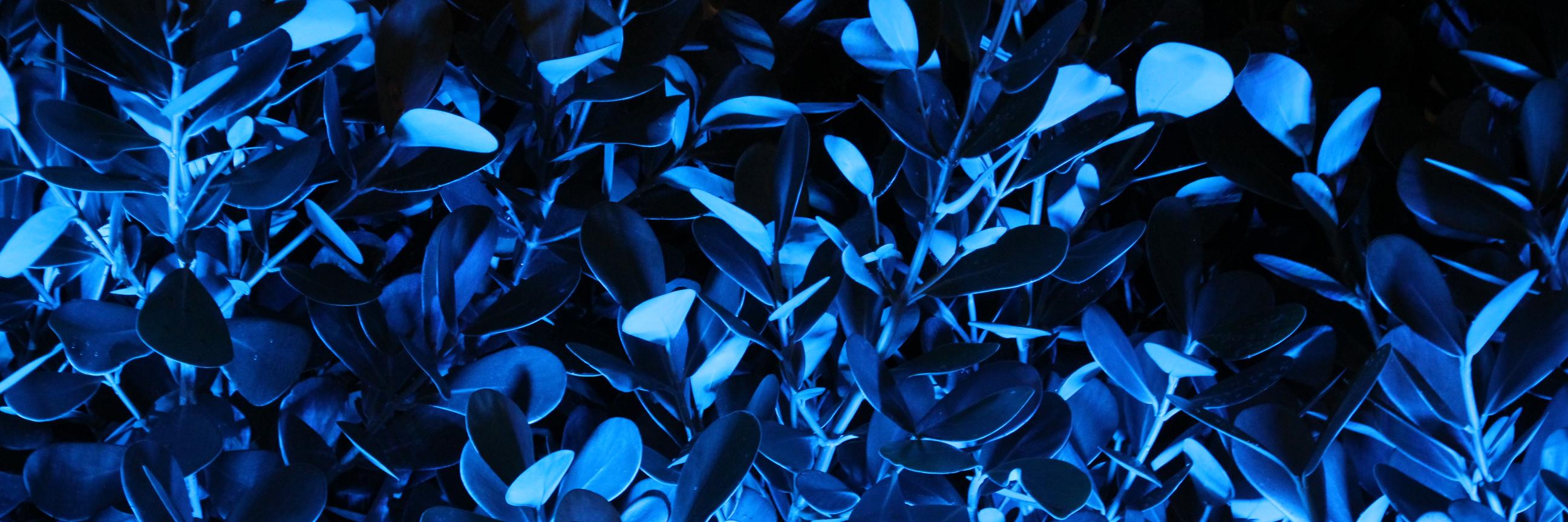 AceofFlames_'s profile banner image