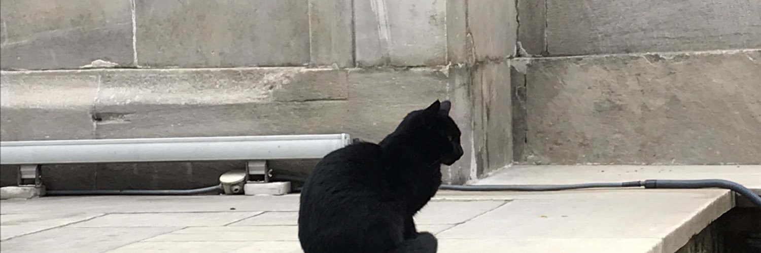 Annette Pruss-Ustun banner