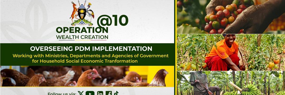 Operation Wealth Creation's banner