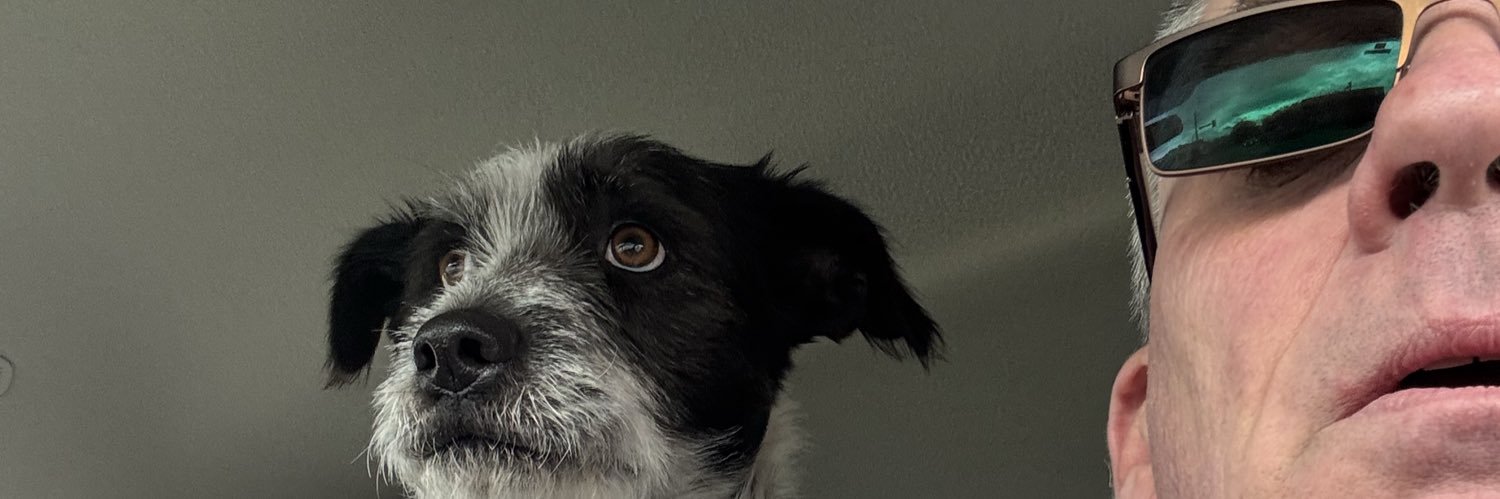 crashtestdougie's profile banner image