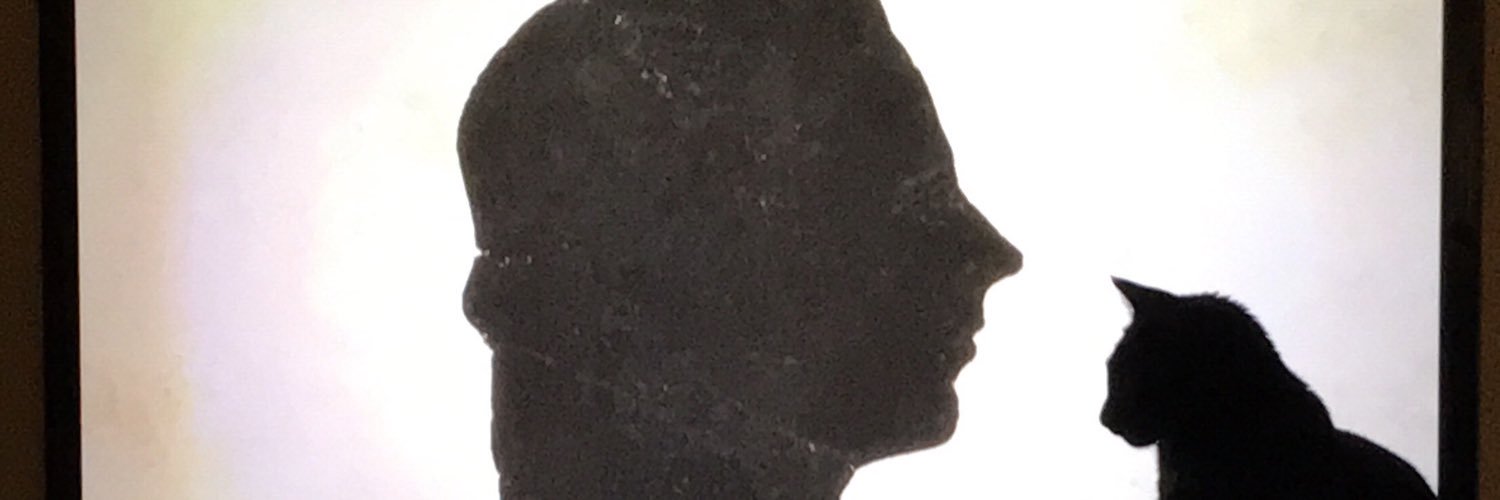 Sol🌞 banner