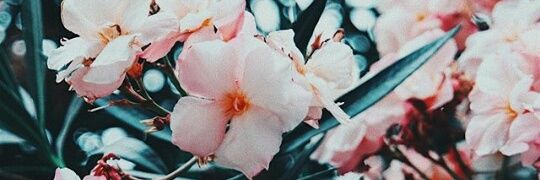 acrh284's profile banner image
