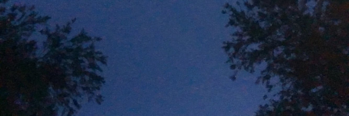 KoltonWray's profile banner image