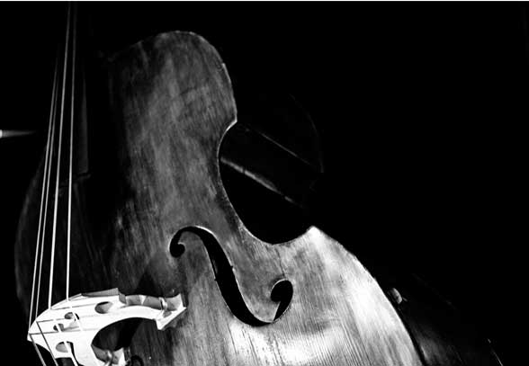 thom_music's profile banner image