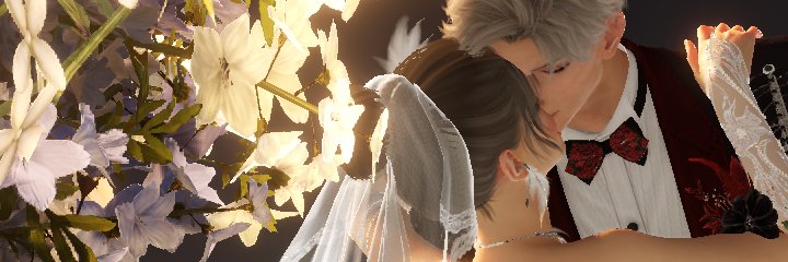 Lost in madness's banner
