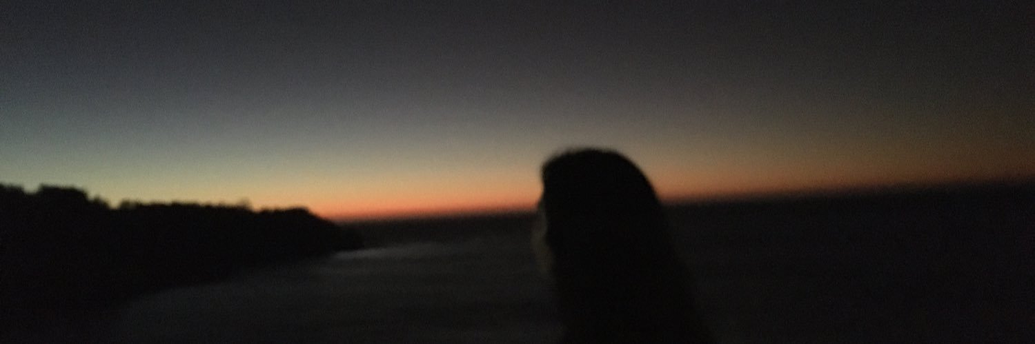 paulaii's profile banner image