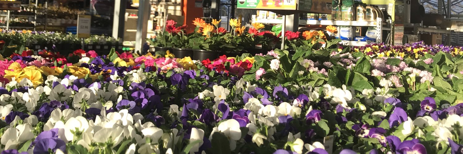 Home Depot 1803 banner