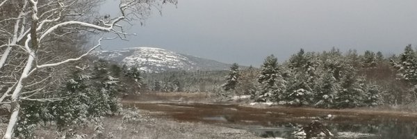 genomequant Profile Banner