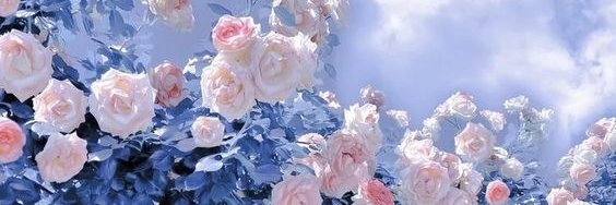 ₊˚⊹ 𝓐𝓽𝓼𝓾 🌈 banner