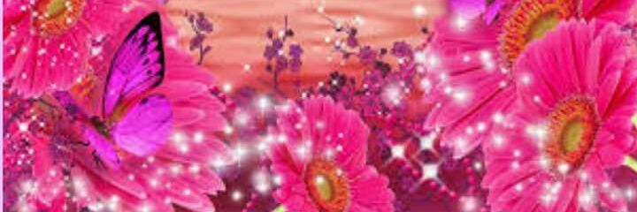 Pauladoya's profile banner image