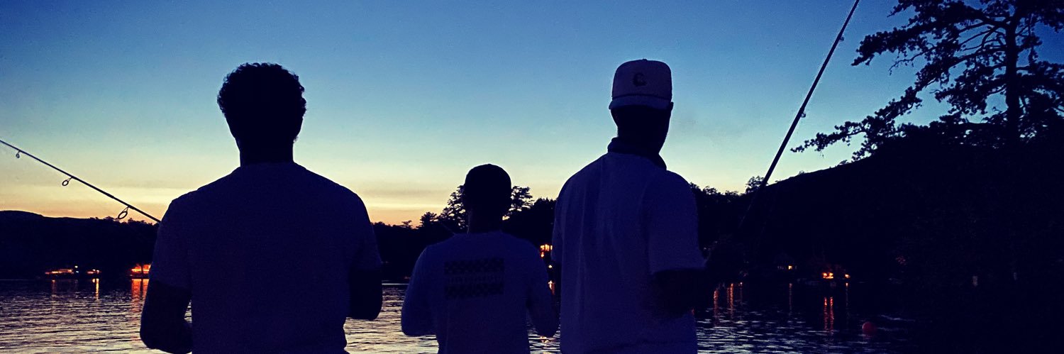 dandimemmo's profile banner image
