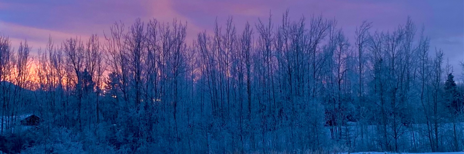quiquedios's profile banner image