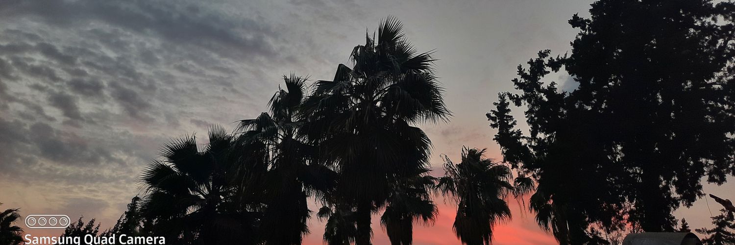 e_yildrm's profile banner image