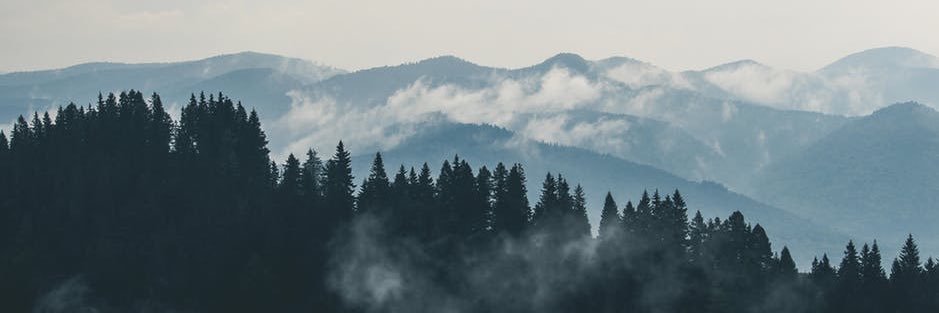 LFTD_Denver's profile banner image