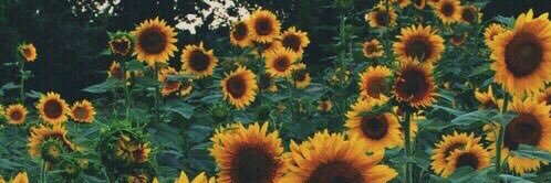 taylor_schmidt9's profile banner image
