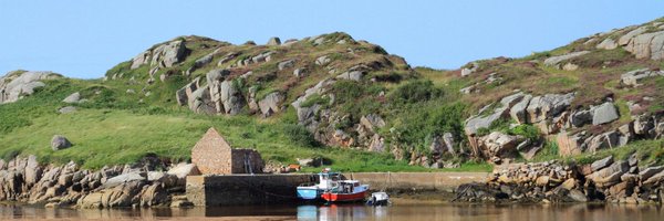 patodonn Profile Banner