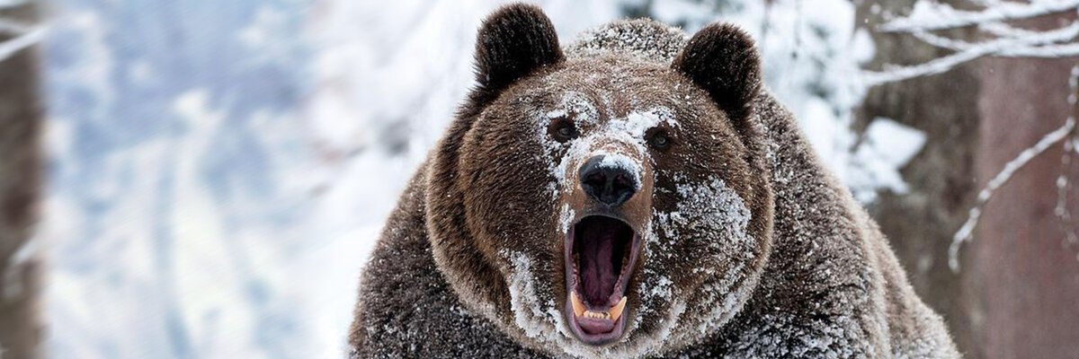 serge_katz's profile banner image