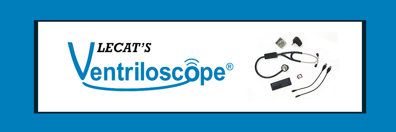 Lecat'sVentriloscope banner