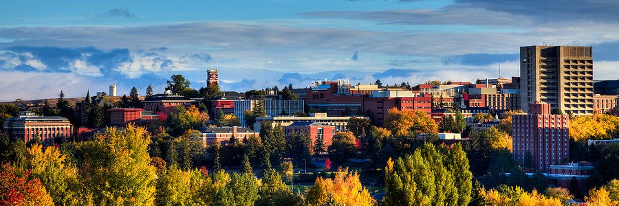 WSU School of Biological Sciences banner