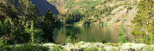 scianalysis Profile Banner