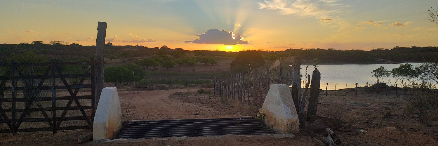 EuDanielNunes's profile banner image