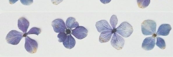 caitlinncom's profile banner image