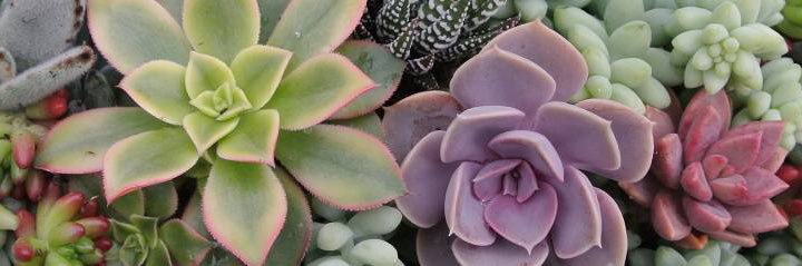 _briannabennett's profile banner image