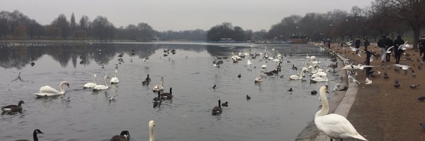 syntaxproblems Profile Banner