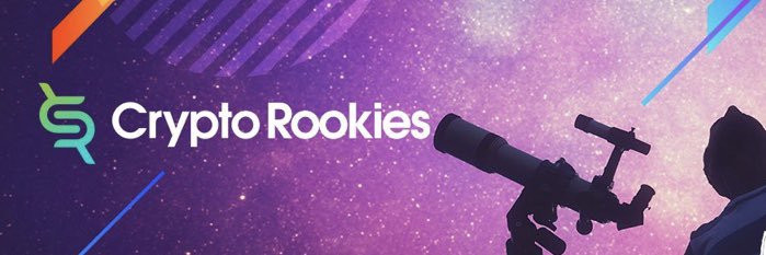 Crypto Rookies banner