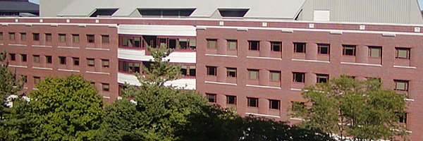 DonglingDeng Profile Banner