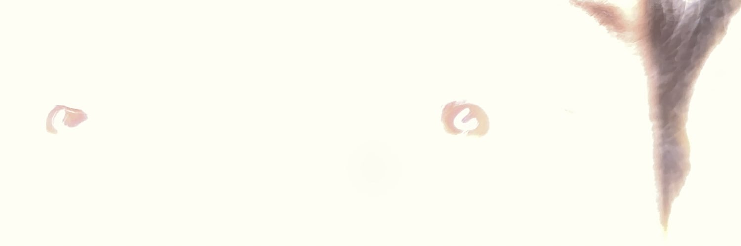 cewlbeenz's profile banner image