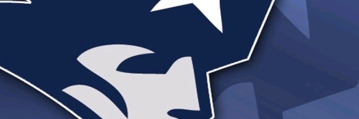 Tom Brady the goat banner