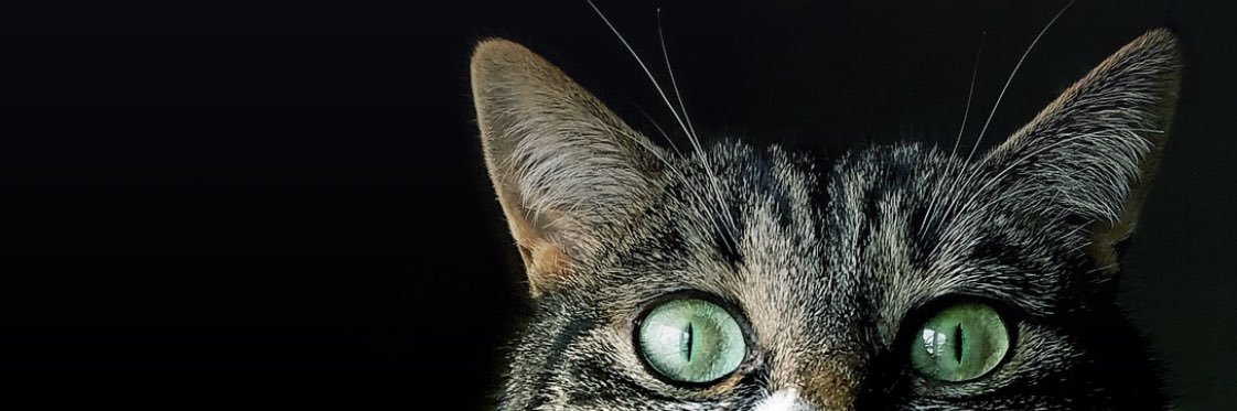 الفارقــة banner