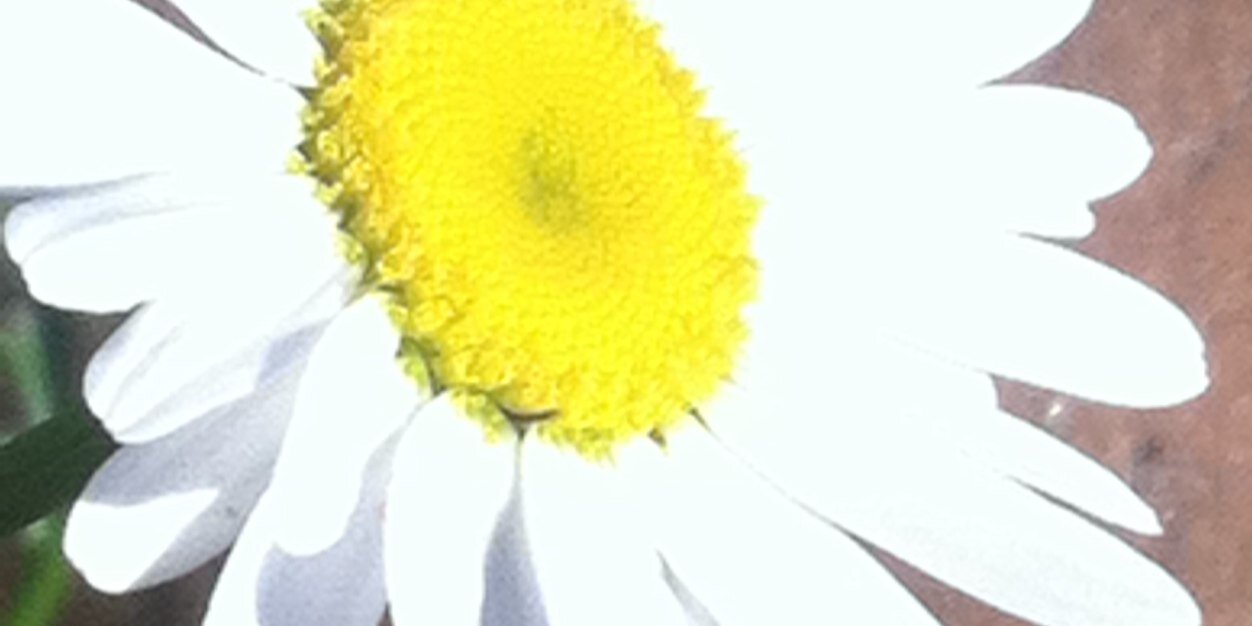 hasquire25's profile banner image