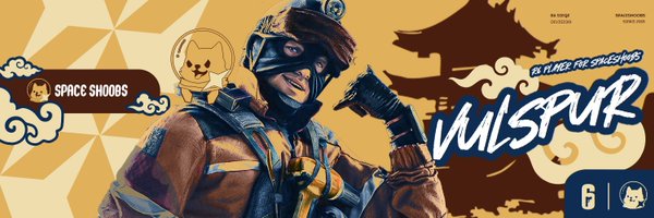 vulspur Profile Banner